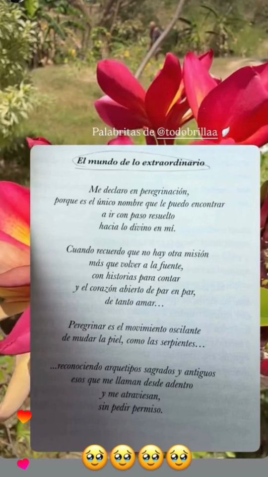 testimonio una-vida-guiada-libro